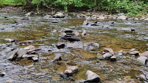 Along the Potato River Falls - Gurney Wisconsin August 2022