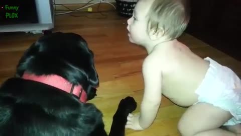 Cute Cats and Dogs Love Babies Compilation Part