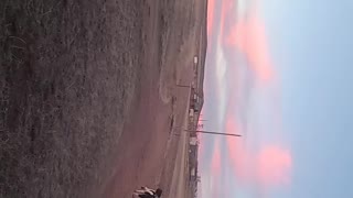 Standard Poodle Retrieving in Wyoming