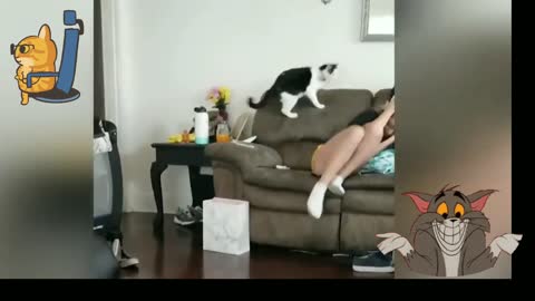 Cat troubling a girl 😂🐱 verry funny moment