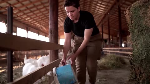 After floods last year, Greek farmers now face goat plague | REUTERS | U.S. Today