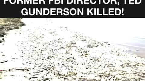 The Video That Got Former FBI Director Ted Gunderson Killed