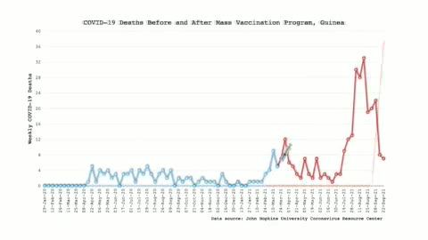 Video grafico dei decessi in vari paesi