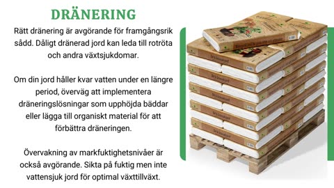 Den Ultimata Guiden Till Såjord: Tips För Framgångsrik Plantering