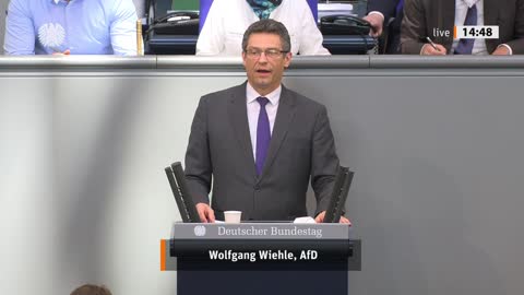 Wolfgang Wiehle Rede vom 22.03.2022 - Umwelt, Naturschutz, nukleare Sicherheit und Verbraucherschutz