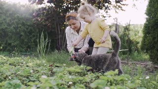 Cat and Family