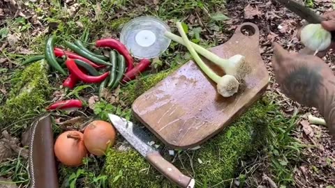 Eggplant/persianfood