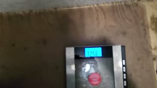 Weigh-In Apr 24, 2024