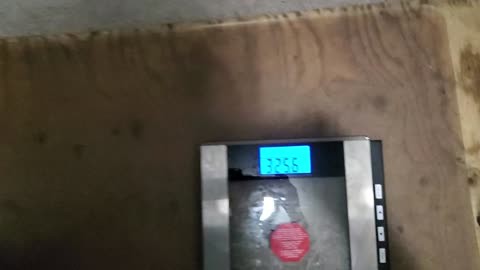 Weigh-In Apr 24, 2024