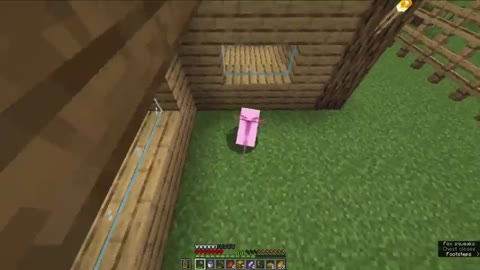 Minecraft 100 Days challenge as an Axolotl