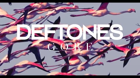 Deftones - Acid Hologram