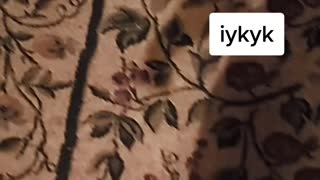 Funny Tik Tok 2