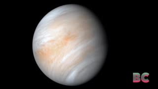 Phosphine discovery on Venus could mean ’10-20 percent’ chance of life, scientists say
