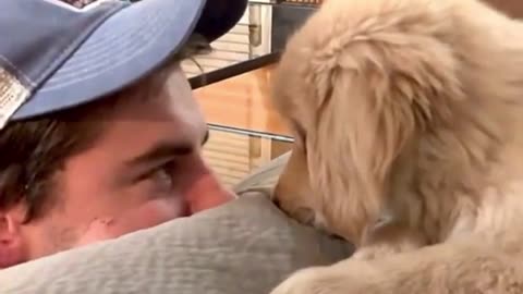 😍😍😍 The most tender look between a puppy and its owner 😍😍😍