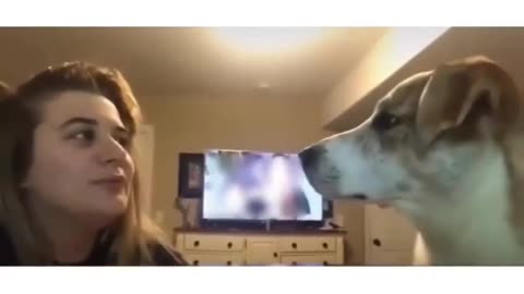 Dog Doesn't Like Being Copied
