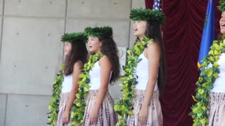 Hawaiian festival.