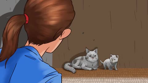 HOW TO EARN TRUST OF A FERAL CAT