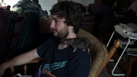 Pet rat on our cousin's shoulder