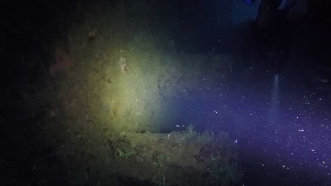 Inside the Rio De Janerio Maru, Truk Lagoon