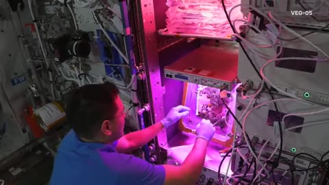 NASA. Frank Rubio is an Astronaut. A year of science in space. NASA