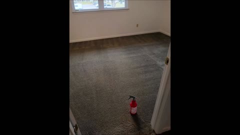 Veterans Carpet Cleaner - (850) 468-4374