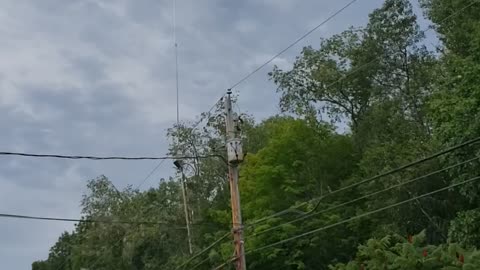 Helicopter tree trimming