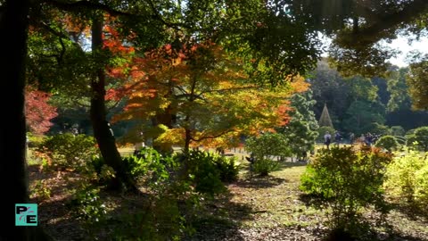 The most beautiful flower gardens and fields in the world