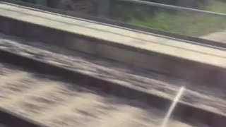 DART Train Ride