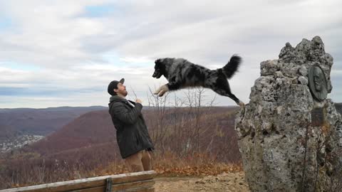 Epic slow motion footage of dog jumping into owner's arms