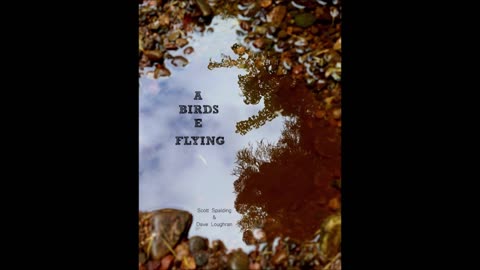 SONG | Birds Are Flying | Scott Spalding