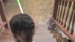 Baby chasing cat outside