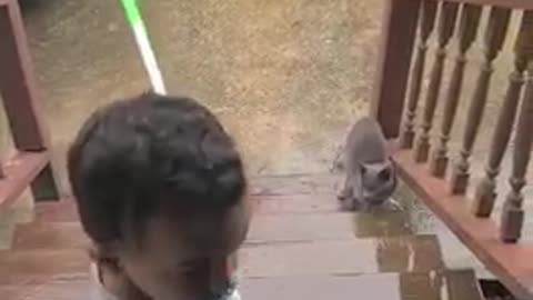 Baby chasing cat outside
