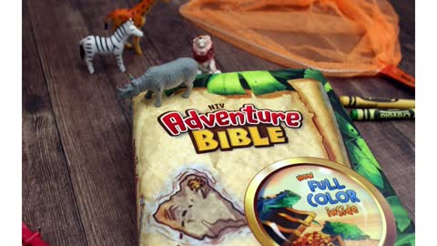 The New International Version Hardcover Adventure Bible in Full Color For Kids