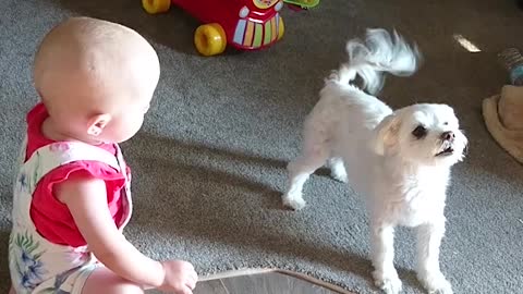 Cute Puppy and Adorable Baby Have Amazing Conversation Speaking The Same Language