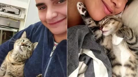 Cats Most Emotional Moments showing love to Owner Ever - Funny and Cute Cat's Life