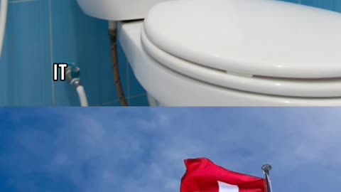 Swiss Silence: Flushing Toilets After 10 PM Forbidden