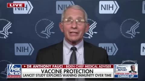 Baier Grills Fauci on Failed Vaccines' Waning Immunity