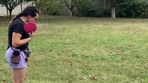 Frisbee Toss Goes The Wrong Way