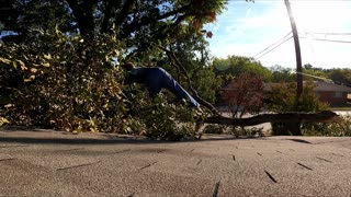 Roof Tree Limb Removal