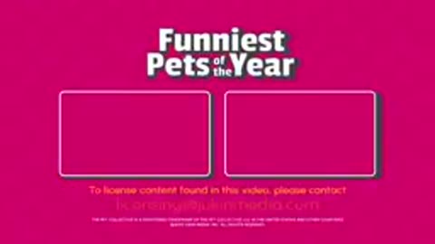 The FUNNIEST Pet Videos of 2024! 🤣 | BEST Compilation