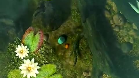 Beautiful fish swimming in the aquarium