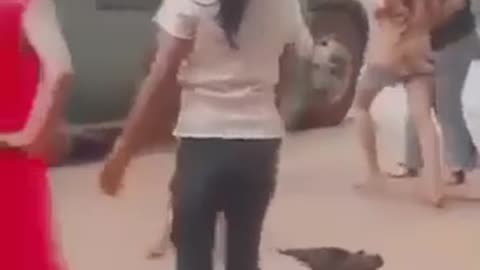 Funny Dance 💃