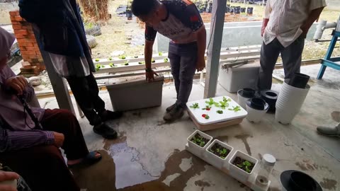 P10 Hydroponics / Hidroponik @ Meru Klang, 23 Jul 2024