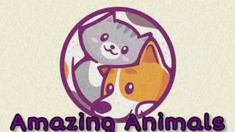 Amazing Animals Pets Unlimited
