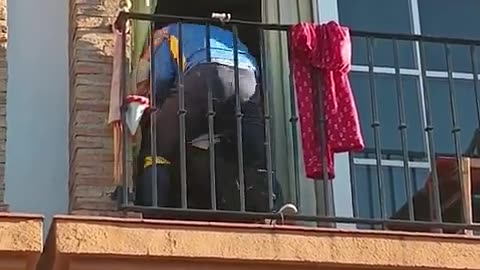 Man climbs a building to help an elderly woman who fell