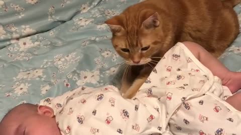 Cat Massages Sleeping Baby