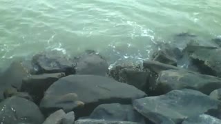 Filmando a água do mar batendo nas pedras ao entardecer, muito relaxante! [Nature & Animals]