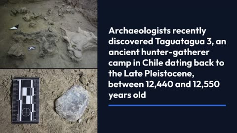 Archaeologists Unearth Lost Camps of Chile’s Elephant Hunters