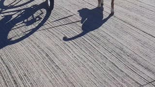 Tucker Carlson and A Bicycle