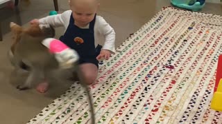 Monkey and Baby Share Their Toys